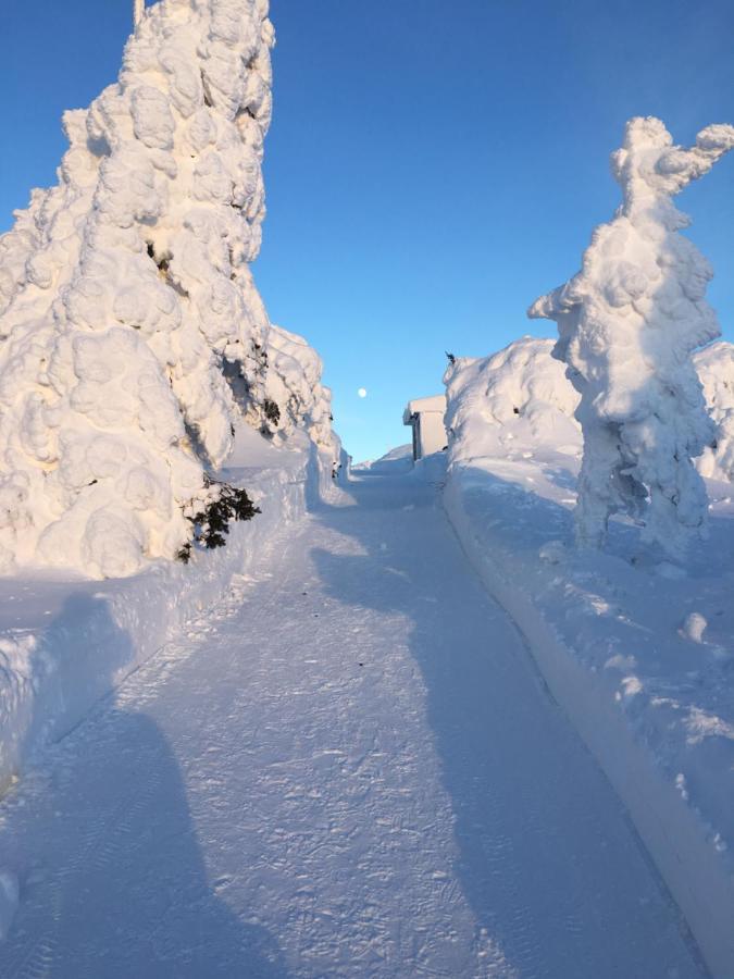 Sporthotel Rudolf Boží Dar Esterno foto